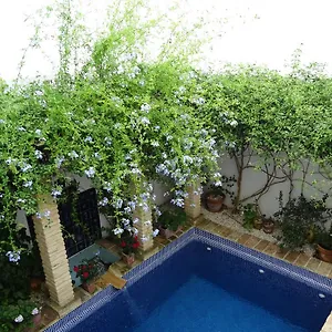 Casa La Loba Medina-Sidonia